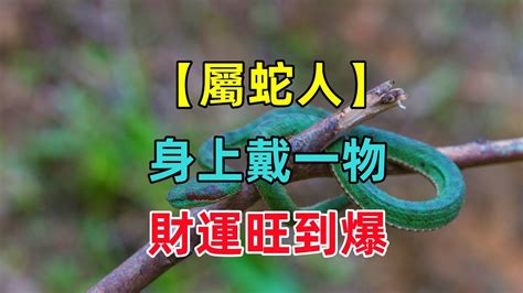 屬蛇的床位